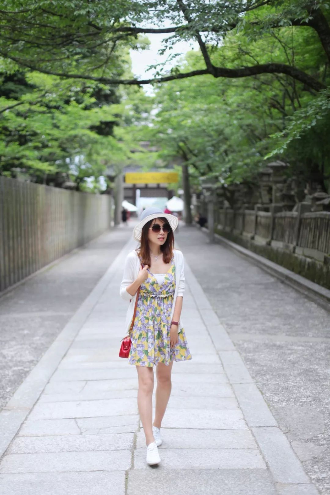 日本的这个地方，很少有中国游客，超级文艺治愈系！