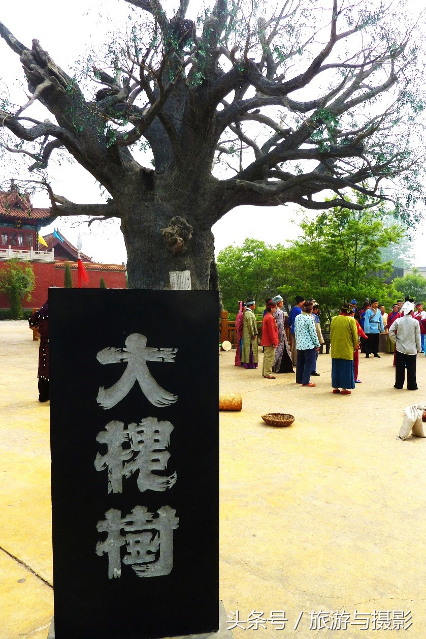 洪洞大槐树祭祖大典,洪洞大槐树迁出的姓氏