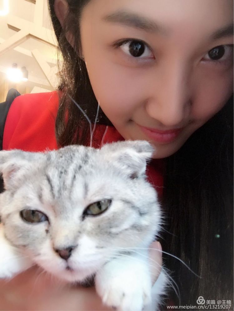 空姐十二钗（副册）