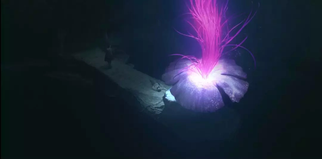 盗墓界最怕什么东西,盗墓最怕哪种怪物