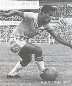 贝利是长短腿吗,长短腿是怎样的