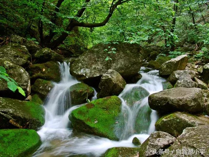 洛阳养子沟一日游,洛阳养子沟度假养老