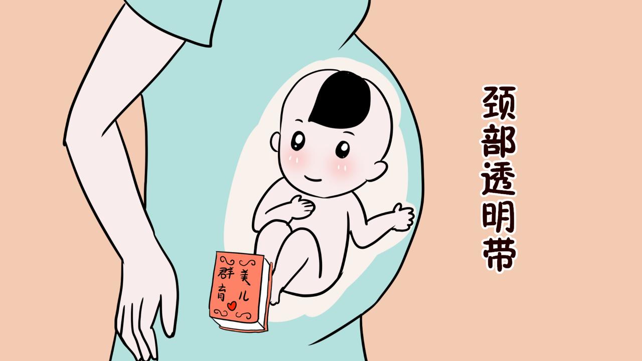 为什么孕妇nt检查要求孕妇走路,孕妇做完nt下一步做什么检查