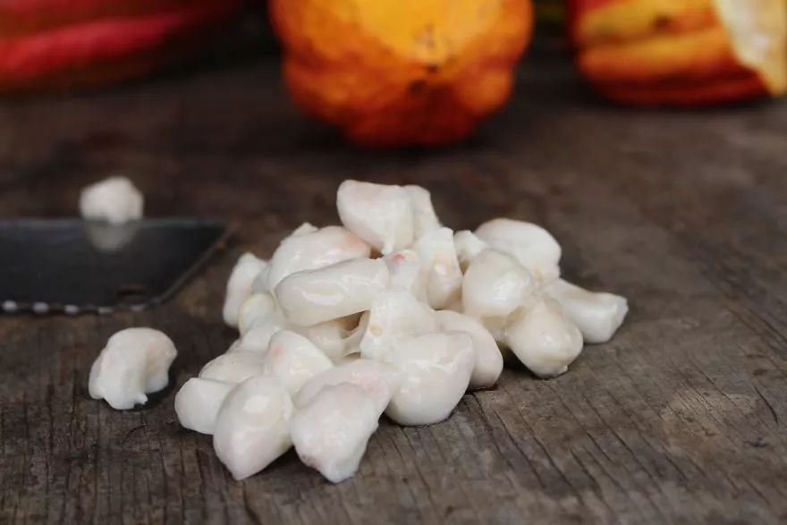 伦敦手工制作,带你看巧克力制作全过程