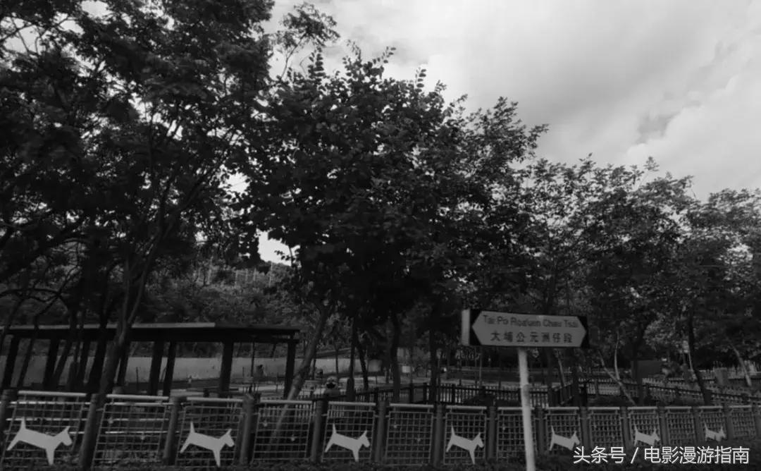 有姑娘出20w让我去香港找条狗，绑匪说：要30w——我Tony还亏了6W