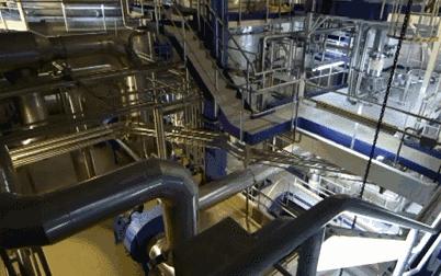 a2国产版和原装进口版有啥区别,a2国产有假的吗