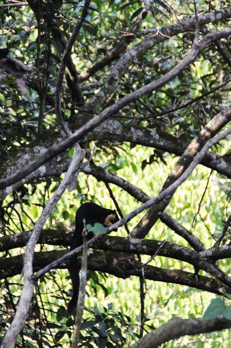 最美樱花温泉,樱花谷泡温泉价目表