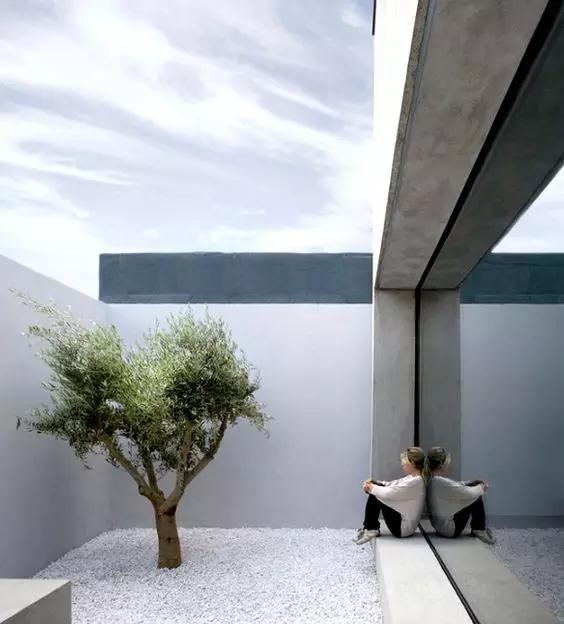 瑞博自己的院子,瑞博院子图片