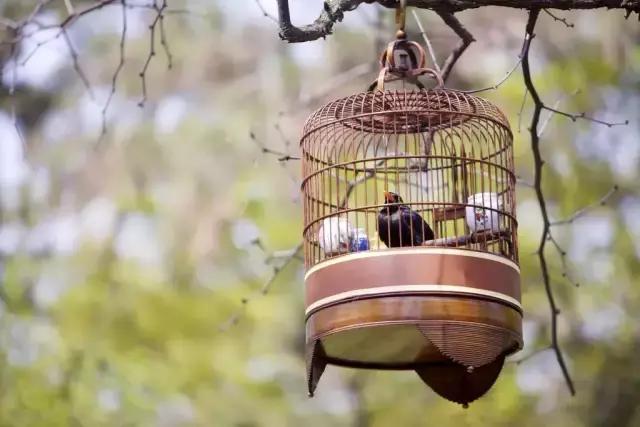 中国传统文化代表100种下篇,100种代表中国传统文化