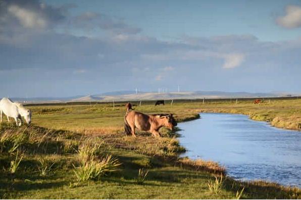 赵丽颖林更新《楚乔传》，赵丽颖被狼追杀，景点原来是这里！