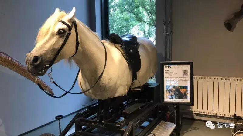 端午新玩法，各位CDEX魔秀了解一下！