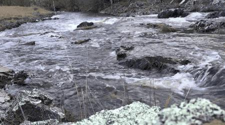 洗衣粉里的磷怎么清洗,洗衣粉污渍用什么去除