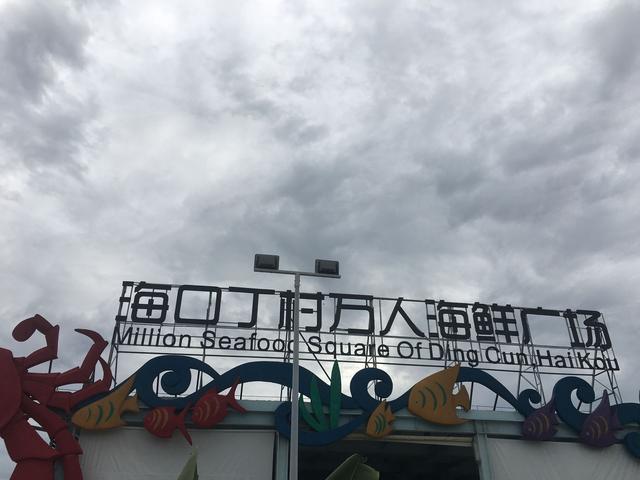 一个人的海口旅行,一个人的三亚自由行