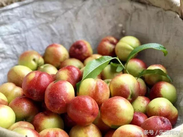 再上2天班,南京人集体放假!还有23个好消息等着你!