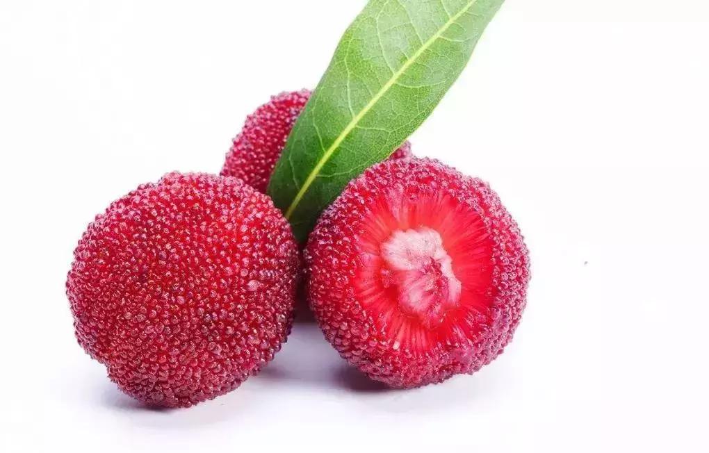 杨梅酒的做法夏季养生的好酒,自制杨梅酒夏日饮品