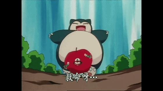 小智的神奇宝贝胜率,小智的所有神奇宝贝胜率