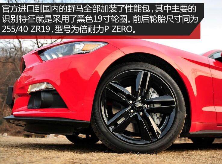 网友：力顶小野马，直喷奥迪宝马 玩脑筋急转弯？