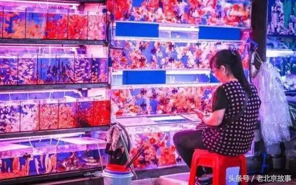 老北京消失的物件,老北京即将消失的行当