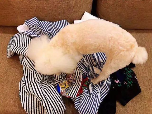 整理收纳达人系列课程,整理收纳师0元领取课程