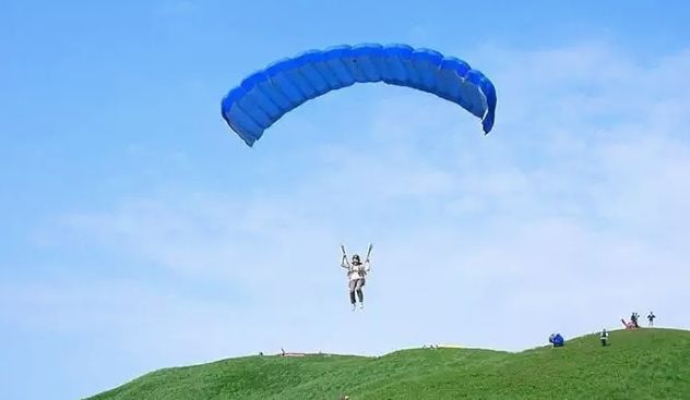 日本发现的大宝藏,日本挖出大宝藏