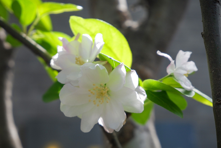 富士X-A5微单评测！不仅能美颜自拍ISO6400感光度画质也很纯净