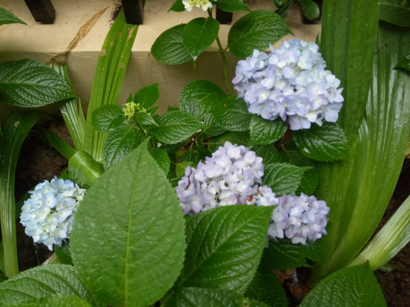 银城一方山户型图,银城一方山平面图