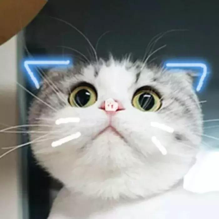 起了个流行歌的名字,却优秀到8集带你走过爱的春夏秋冬