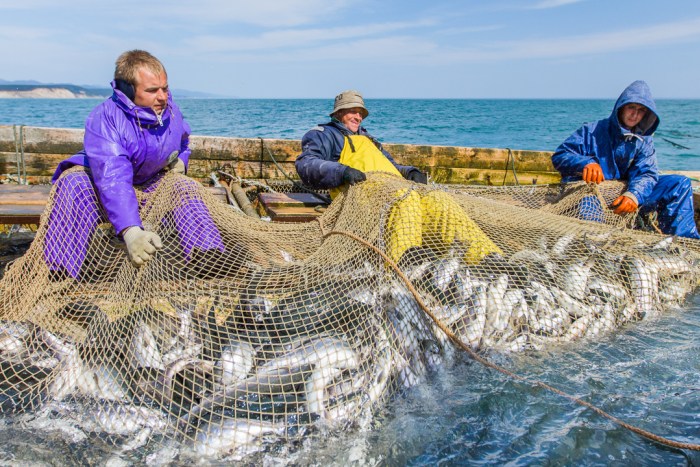 涓縿鐭虫补浜ゆ槗鍙楀奖鍝嶅悧,涓縿缁х画娌规皵棰嗗煙姝ｅ父璐告槗