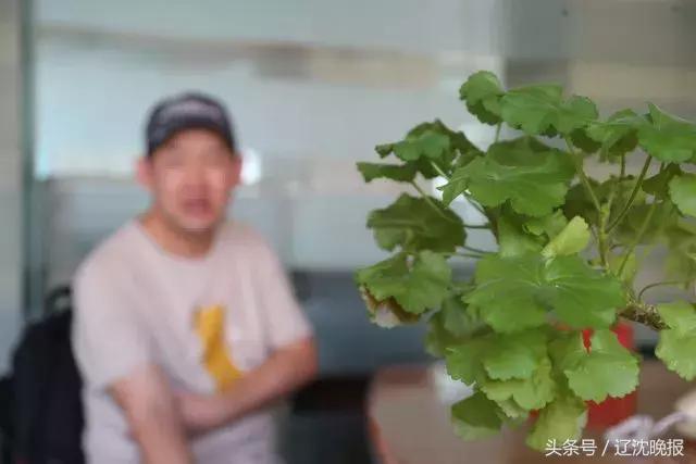 彩票中头奖后倾家荡产,大连小伙彩票中奖500万