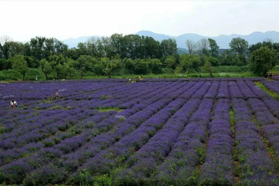 昆明国庆假期自驾游攻略,五一昆明最适合去的地方