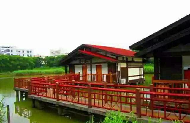 深圳海上田园怎么样,深圳海上田园景区