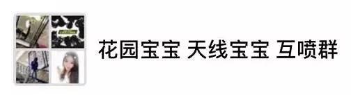 哈哈哈哈这些沙雕“对喷群”简直要笑死我了！