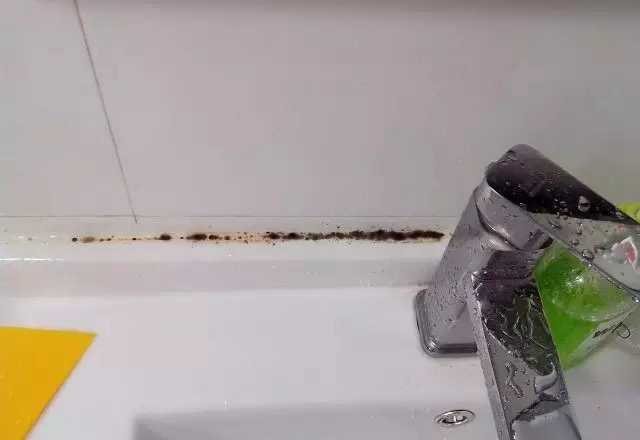 入住半年卫生间发霉怎么回事,入住时间长了卫生间漏水