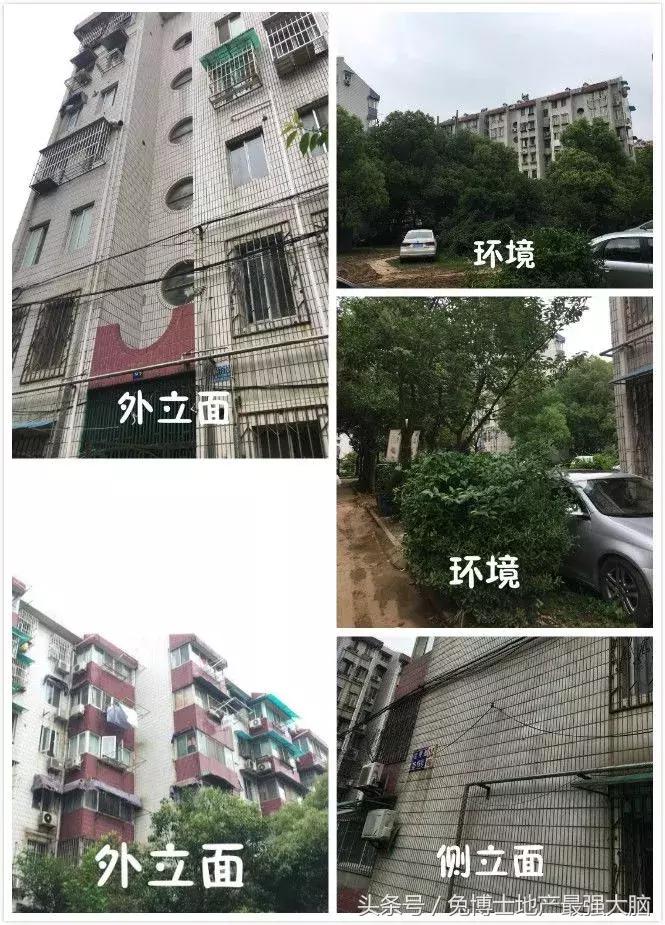 南京凤凰花园城小学怎么样,南京凤凰花园城小学施教区