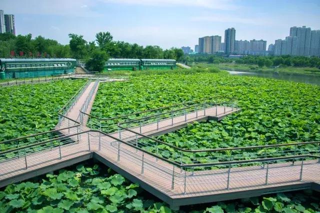 西安最美跑道,在美丽的操场上跑步