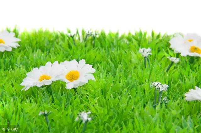 爱一个人放不下的情感,忘不了放不下的心痛