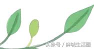 暖医小故事,暖医故事大全100篇