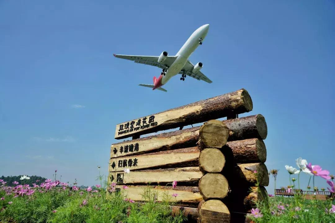 双流人公认的12大美女，一个比一个惊艳，简直是人间极品！