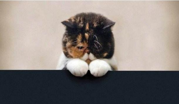 如何把委屈表达到极致,怎么样学会忍受委屈