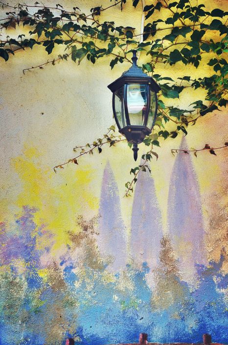 这个夏天我们再邂逅一次厦门吧,这个夏天想跟你再去一次厦门