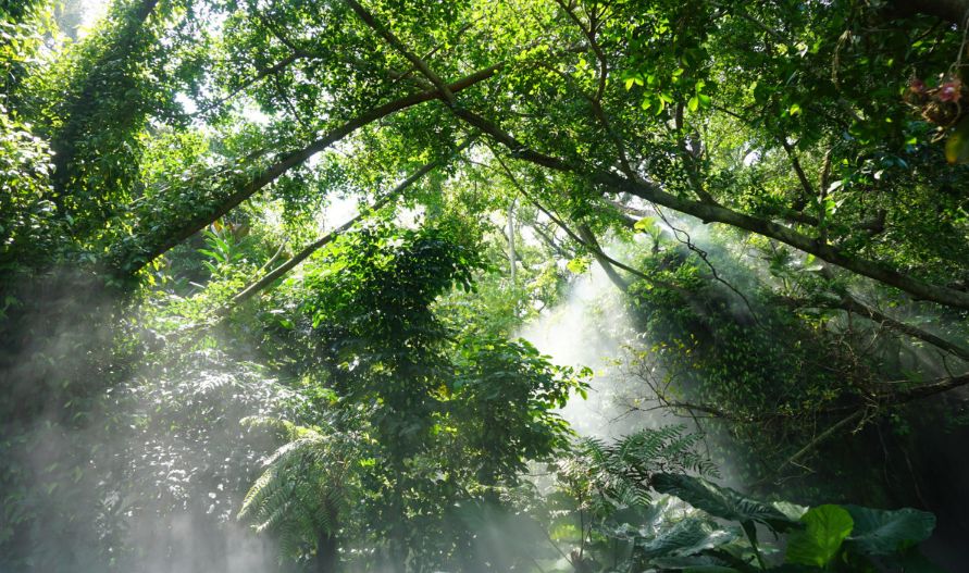 四月适合旅游的地方,四月旅游最好的去处