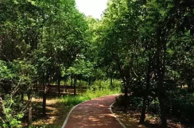 郑州周边夏天好玩的景点,郑州夏天旅游攻略景点必去