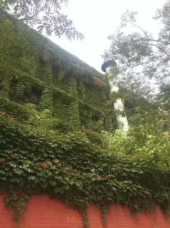 郑州周边夏天好玩的景点,郑州夏天旅游攻略景点必去