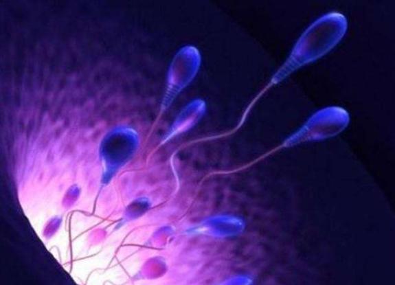 备孕提高精子质量操,孙老师备孕系列课