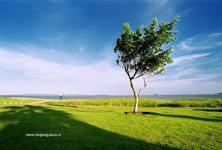 这个夏天总要来一趟浪漫的厦门,这个夏天再和你去一次厦门