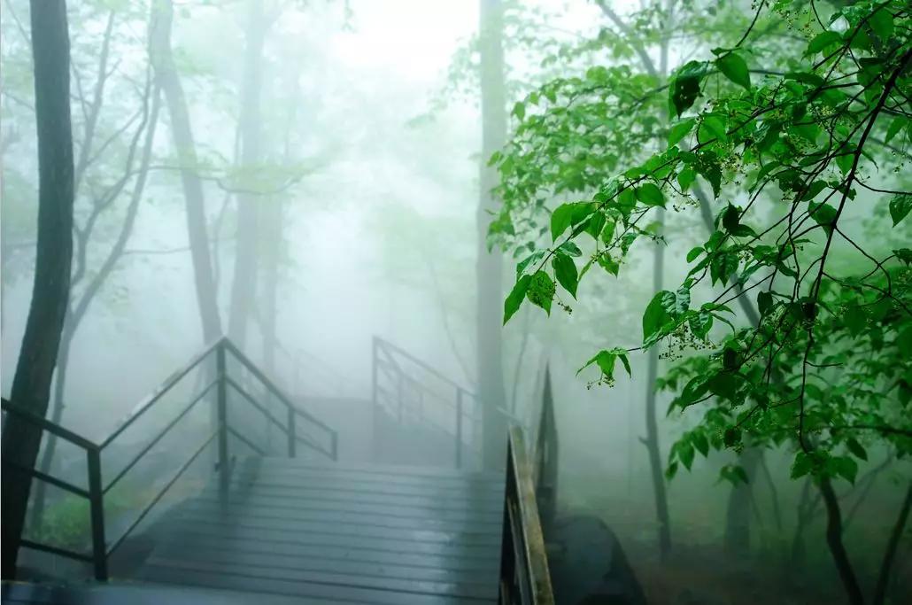 我们不一样御龙湾,我们不一样清明节图片