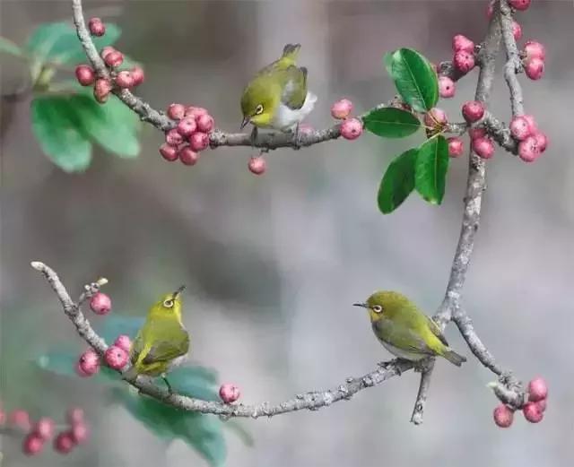 男女之间幽默搞笑顺口溜,男女之间的关系顺口溜