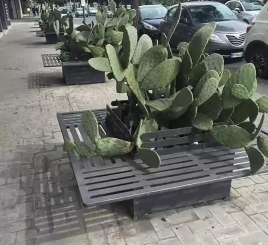 8张让人害怕的照片,八张令人心酸的图片