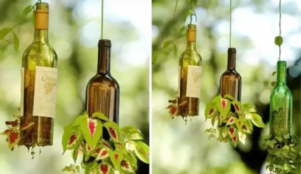 创意农业丨妙用瓶子,让你的农场不一样