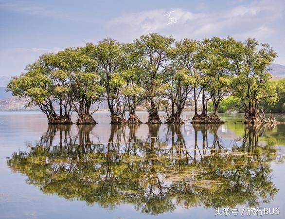 去了洱海之后去哪,洱海环湖骑车攻略